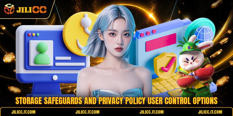 Storage safeguards and privacy policy user control options